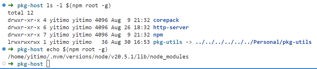 global_npm_pkgs