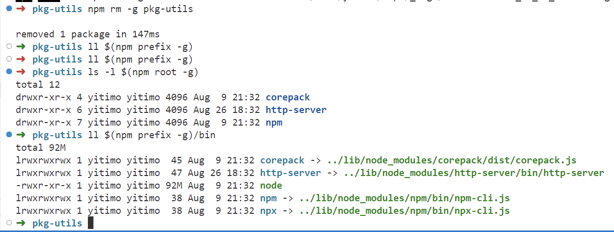 rm pkg_utils from global